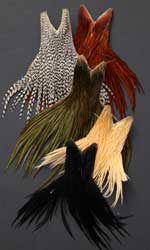 <fly tying feathers>